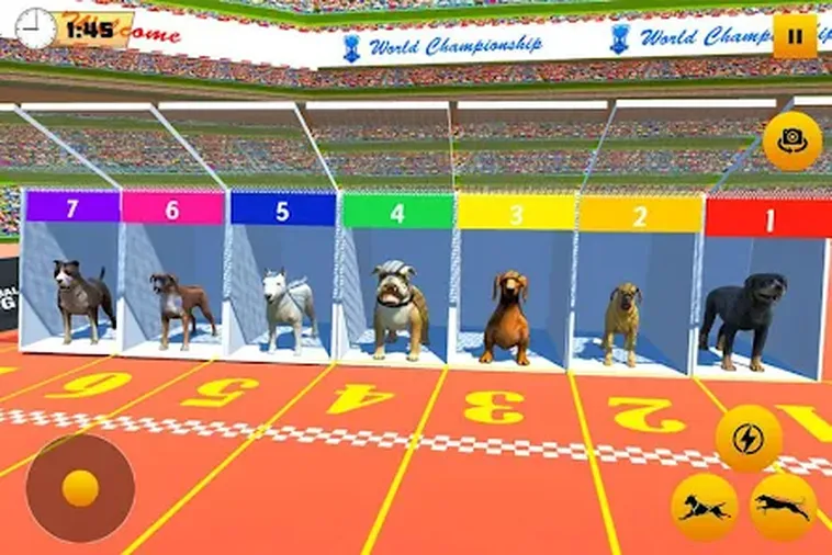 Cách Chơi Game Nhanh Đua Chó Tại For88 Thắng Lớn Dễ Dàng Nhanh Chóng