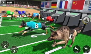 Cách Chơi Game Nhanh Đua Chó Tại For88 Thắng Lớn Dễ Dàng Nhanh Chóng