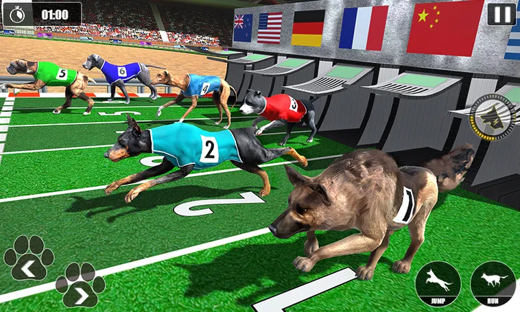 Cách Chơi Game Nhanh Đua Chó Tại For88 Thắng Lớn Dễ Dàng Nhanh Chóng